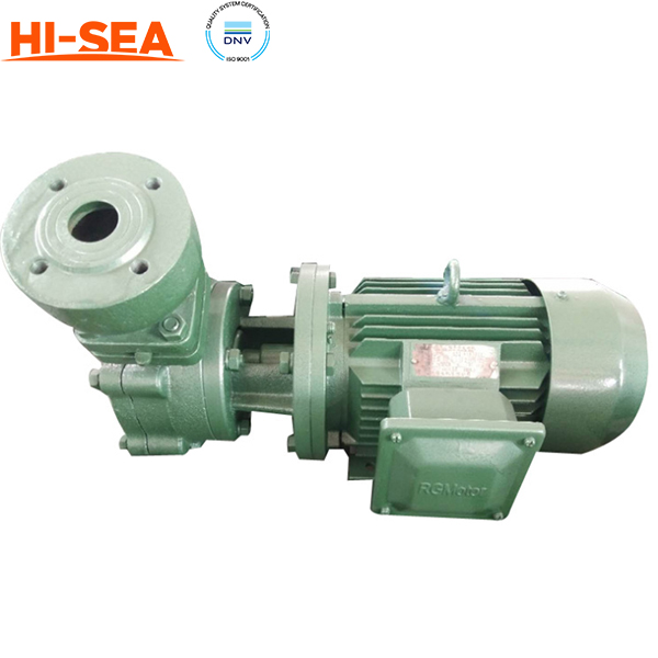 1W(Z) Marine Domestic Water Pump